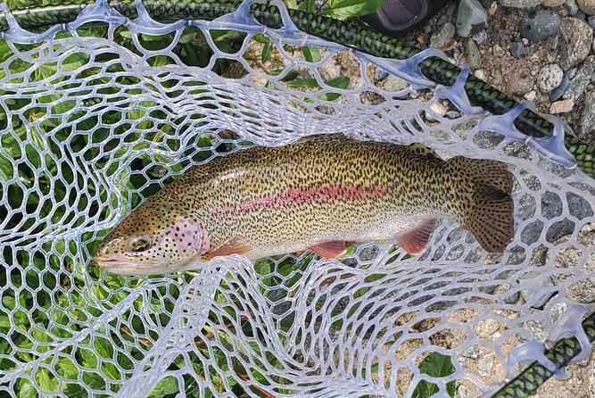 Anchorage Guided Fly-fishing with transportation - First Light in Anchorage: How the Day Really Unfolds