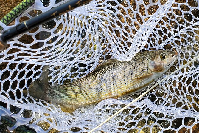 Anchorage Guided Fly-fishing with transportation - On the River: What You’ll Catch and Why It Feels Real