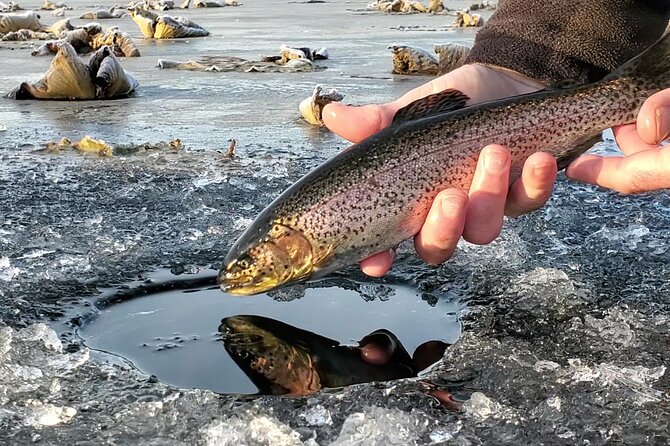 Anchorage Ice Fishing Adventure with transportation - Key Highlights You’ll Actually Feel on the Trip