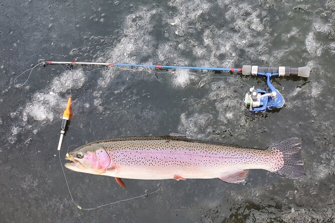 Anchorage Ice Fishing Adventure with transportation - The 4-Hour Rhythm: How Long You’ll Be Outside