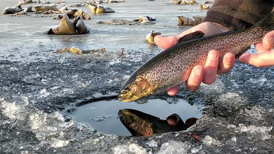 Anchorage: Ice Fishing Trip With Transportation - Life inside the heated ice fishing tent