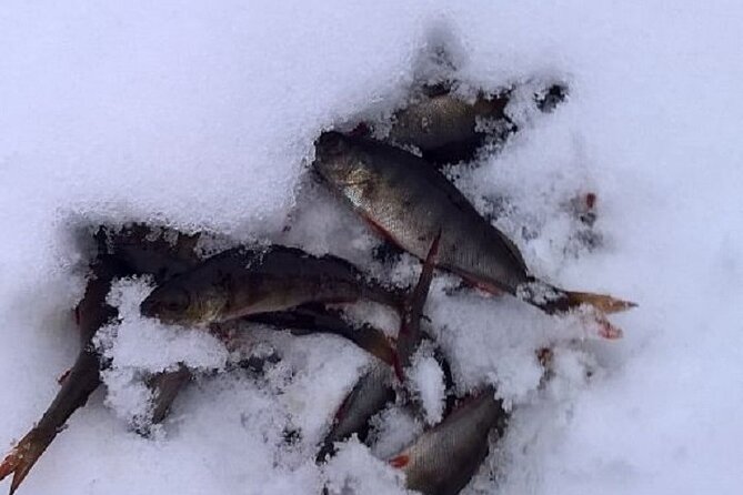 Arctic Day with Ice Fishing and Floating - Morning Pickup: Starting Easy in Rovaniemi