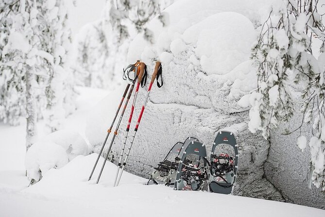 Arctic Day with Ice Fishing and Floating - Who This Tour Fits Best in Rovaniemi