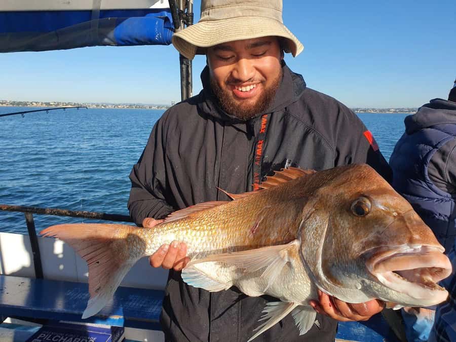 Auckland: Twilight Fishing Charter 5pm - 9:30pm - Key Things That Make This Charter Work
