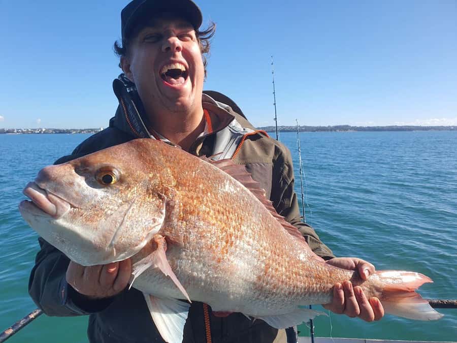Auckland: Twilight Fishing Charter 5pm - 9:30pm - What the Crew Actually Does (And Why It Improves Your Odds)