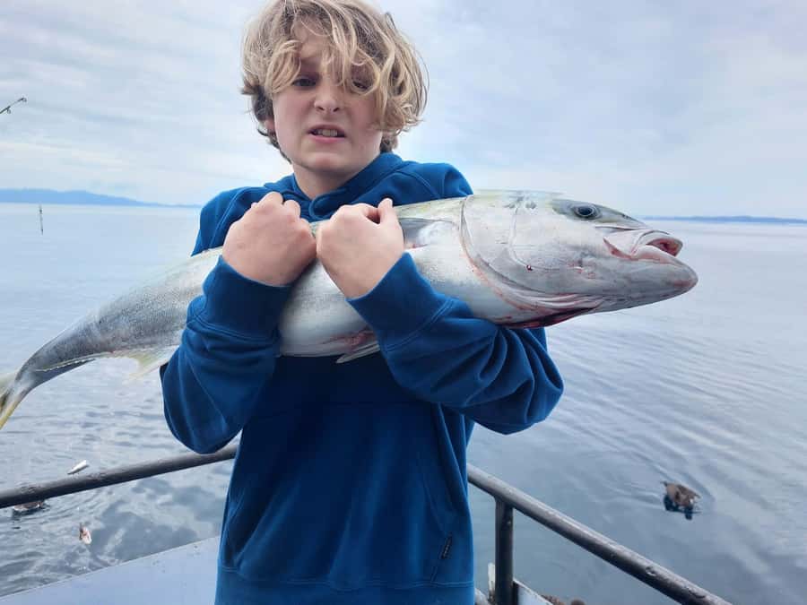 Auckland: Twilight Fishing Charter 5pm - 9:30pm - Rods, Bait, and the One Thing You Must Confirm
