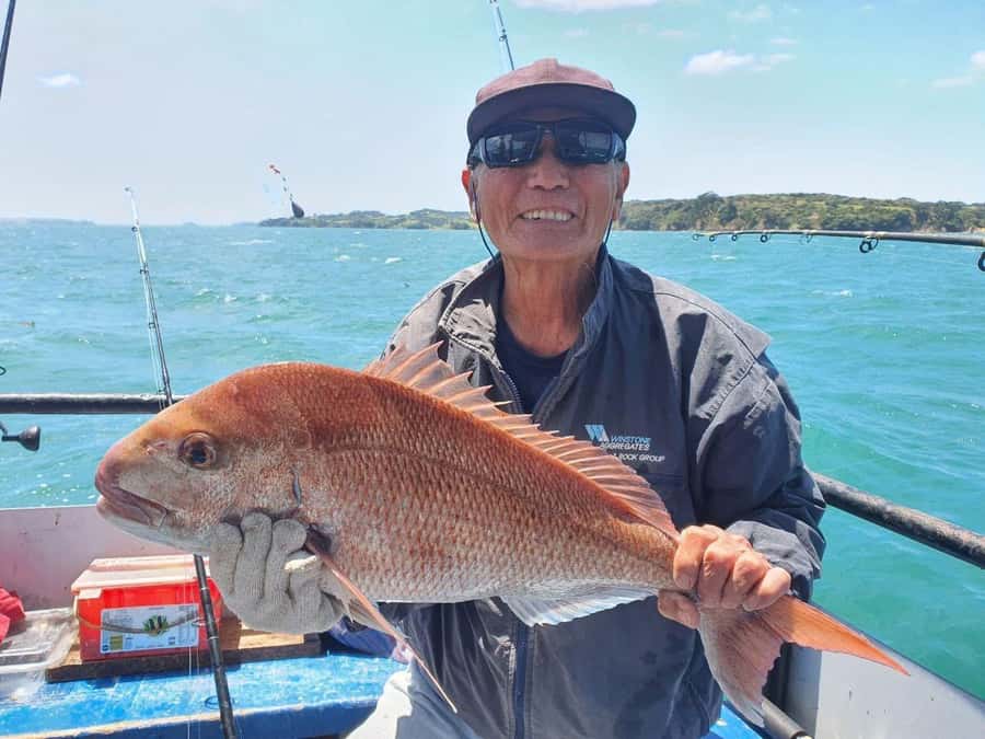 Auckland: Twilight Fishing Charter 5pm - 9:30pm - What You’ll Target: Snapper, Kahawai, Gurnard, and More