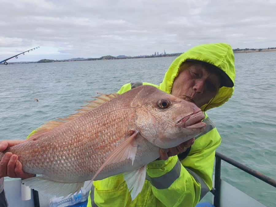Auckland: Twilight Fishing Charter 5pm - 9:30pm - Price, Value, and What You’re Really Paying For