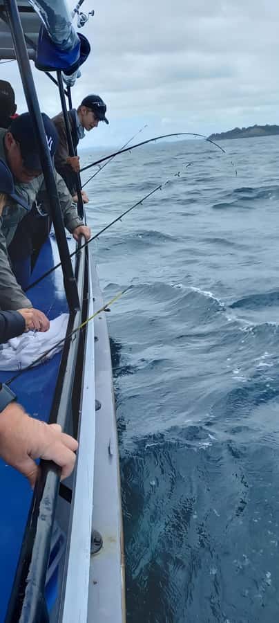Auckland: Twilight Fishing Charter 5pm - 9:30pm - Who This Twilight Charter Is Best For