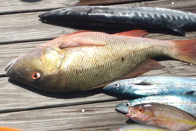 Bahamas Deep Sea Fishing - Price and what $1,500 buys for a private Nassau group