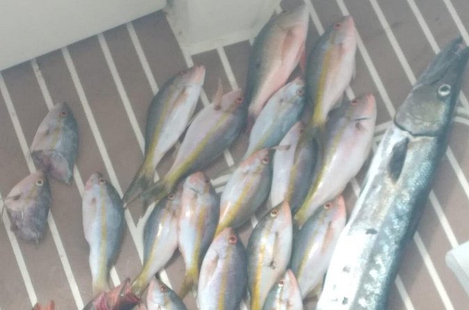 Bahamas Deep Sea Fishing - Reef fishing and slow trolling: snappers, mackerel, kingfish