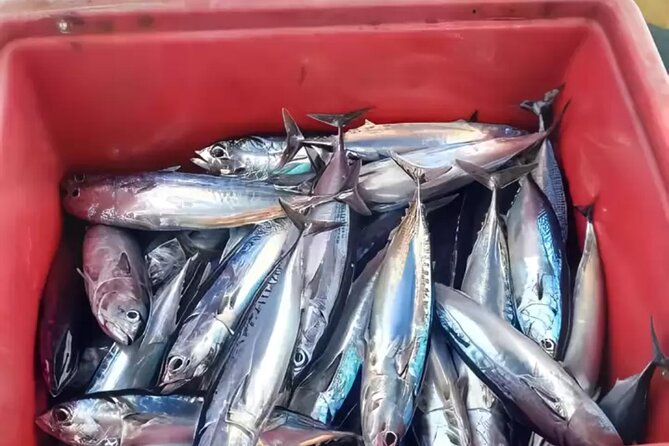 Bali: Fishing Charter Private Boat - Getting to East Bali from Ubud without the headache