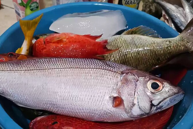 Bali: Fishing Charter Private Boat - Price and value: is $90 per person worth it?