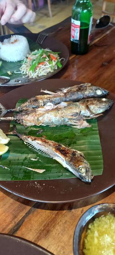 Bali : Fishing Trip & Blue lagoon Snorkeling : All Inclusive - What’s Included (and What You’ll Want to Bring)