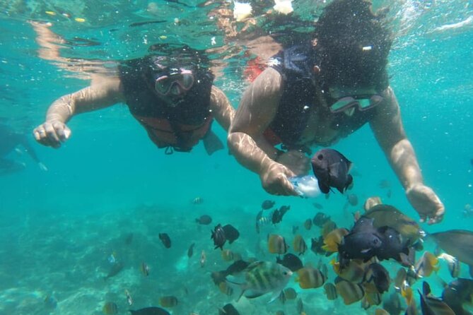Bali: Fishing trip & Blue Lagoon Snorkeling with Lunch - Blue Lagoon snorkeling: coral reefs, fish, and easy gear handling