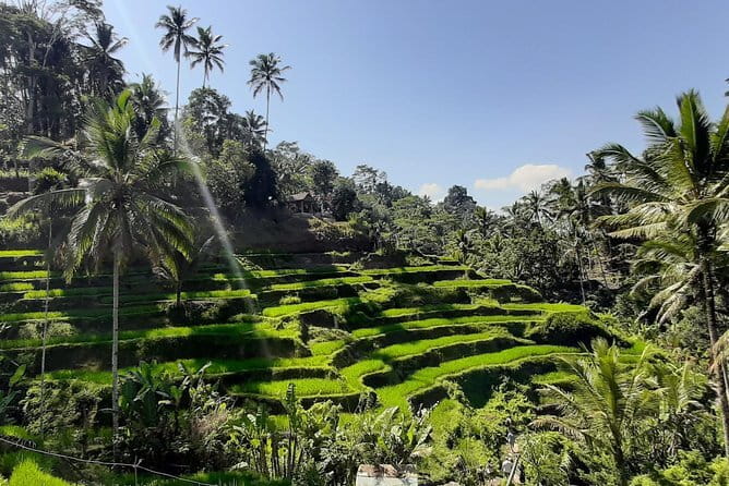 Bali Fishing Trip Private Boat - From Hotel Pickup to Restaurant Lunch: How the Day Flows