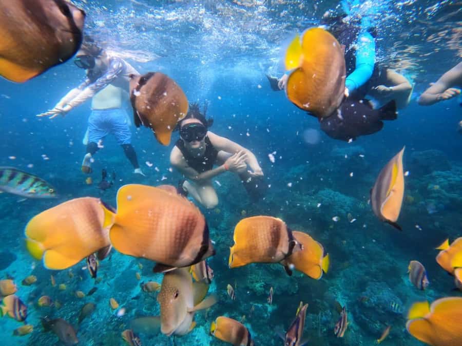 Bali Full Day Trip Fishing, Snorkeling,Eat in Candidasa - Fishing in Candidasa waters: marlin, grouper, sailfish, and the joy of learning