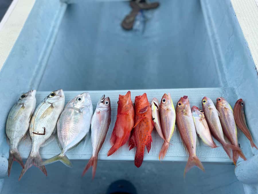 Bali/Lovina: Private Fishing Tour with Snorkeling Option - How the Fishing Session Really Works: Hand Lines, Waiting, and Spot Choice