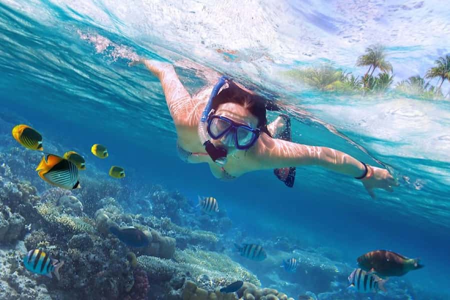 Bali/Lovina: Private Fishing Tour with Snorkeling Option - When You Might See Wildlife Off Lovina’s Coast