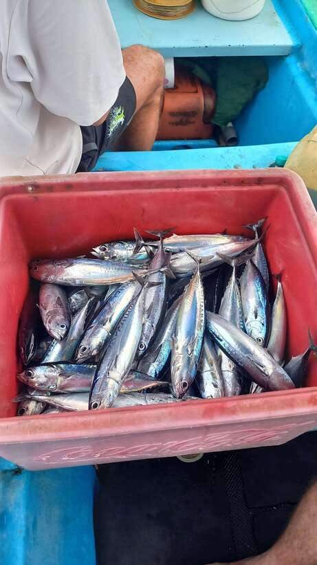 Bali: Private Fishing Trip with Lunch - Key things I’d mark on your mental map