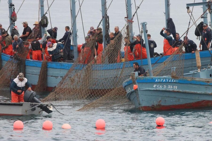 Barbate: Boat Tour to the Almadraba of Conil (Tuna Fishing) - Key highlights you should care about