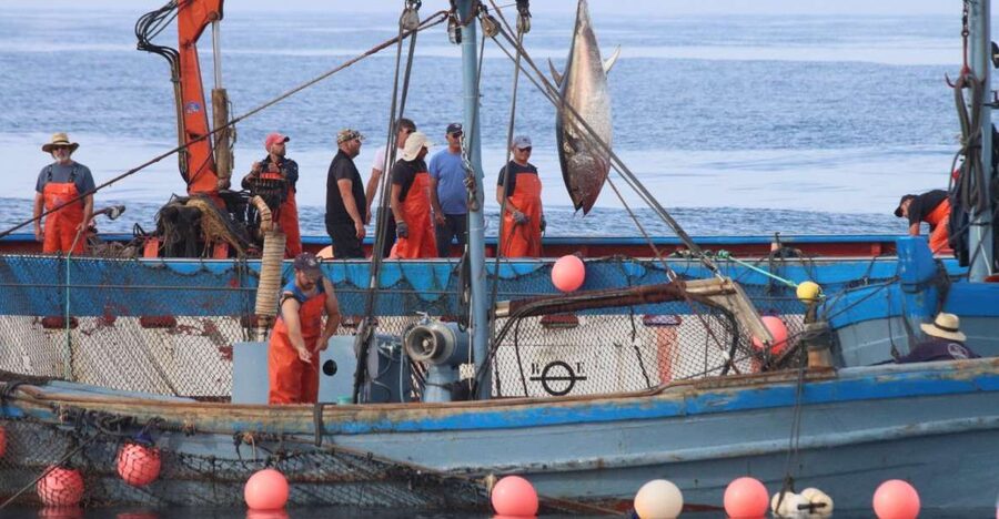 Barbate: Boat Tour to the Almadraba of Conil (Tuna Fishing) - The crossing from Trafalgar Lighthouse to Conil