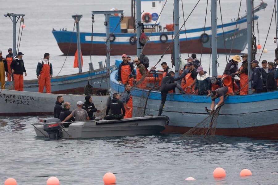 Barbate: Boat Tour to the Almadraba of Conil (Tuna Fishing) - The approach manoeuvre: why being 100 metres away matters