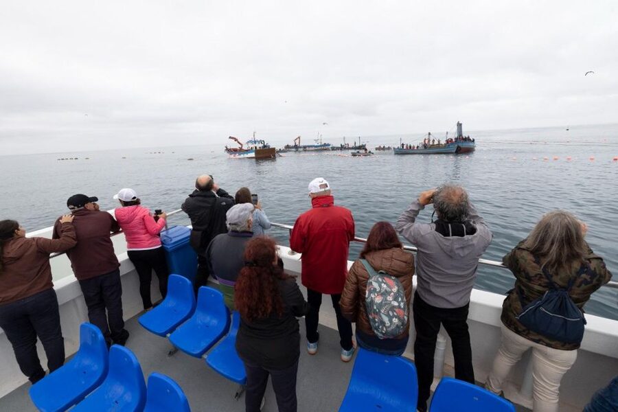 Barbate: Boat Tour to the Almadraba of Conil (Tuna Fishing) - Food on board: breakfast out, tuna tasting back