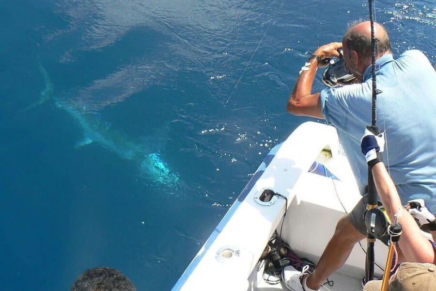 Barcelona: Coastal Fishing Trip - Private Charter Coasting Out of Barcelona’s Port Balis 79