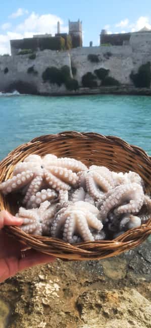 Bari: Fishing experience aboard an authentic fishing boat - Key highlights you should know