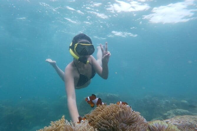Bintan Island Snorkeling, Kayaking and Fun Fishing Activity - Key Highlights at a Glance