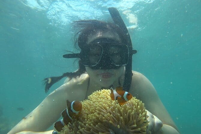Bintan Island Snorkeling, Kayaking and Fun Fishing Activity - Snorkeling Near White Sand Island: Gear, Guide Help, and What to Watch For