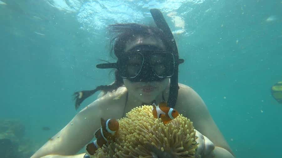 Bintan Snorkeling - Kayaking - Fun Fishing - Water Activity - Getting Oriented: Where This Day Trip Starts and What “7 Hours” Really Means