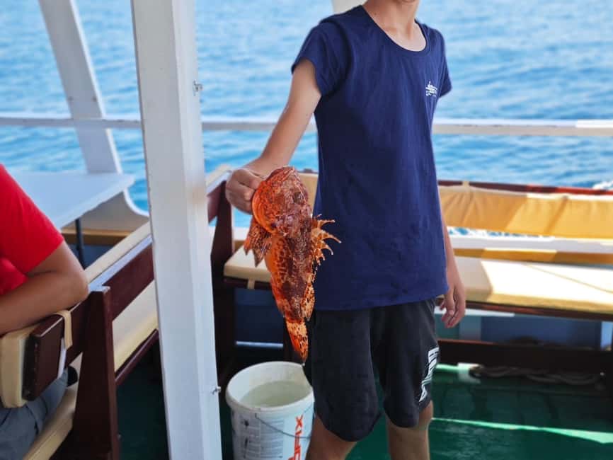 Biograd: Authentic Family friendly Fishing tour in Croatia. - The day’s sailing rhythm: marine life viewing plus dolphin time