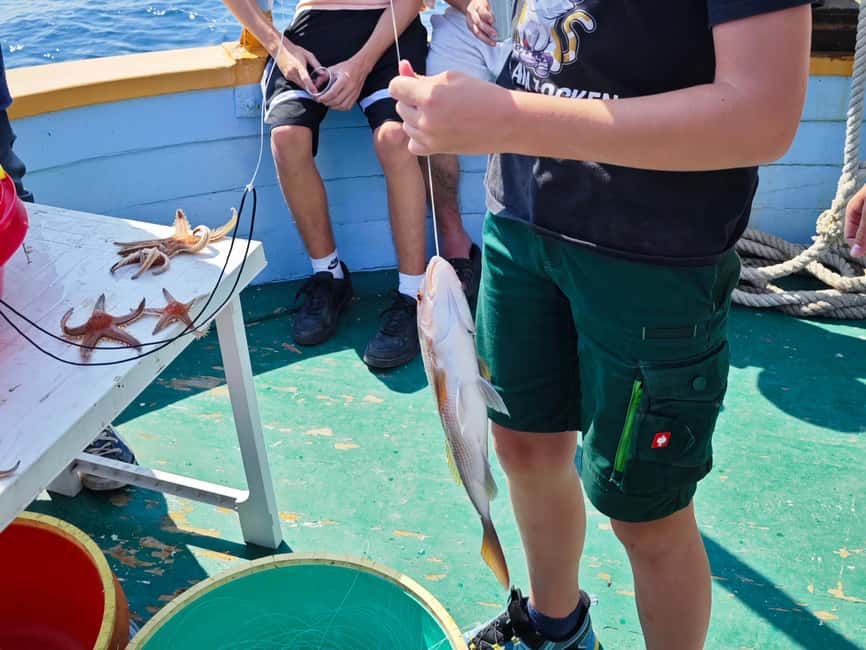Biograd: Authentic Family friendly Fishing tour in Croatia. - Vrgada island time: swimming, village walks, and cooking the catch
