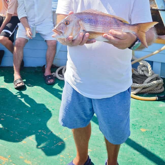 Biograd: Authentic Family friendly Fishing tour in Croatia. - Price and value: is $70 a good deal for this kind of day?