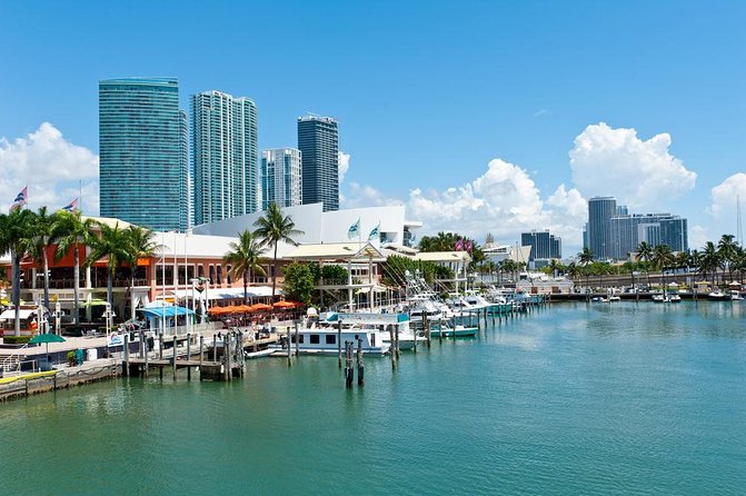 Biscayne Bay Night Fishing Charters - Quick hits before you go