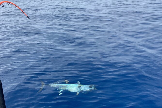 Bluefin Tuna Fishing Charter in the Egadi Islands - The 8-hour route: Favignana, Marettimo, Levanzo, and back to Trapani