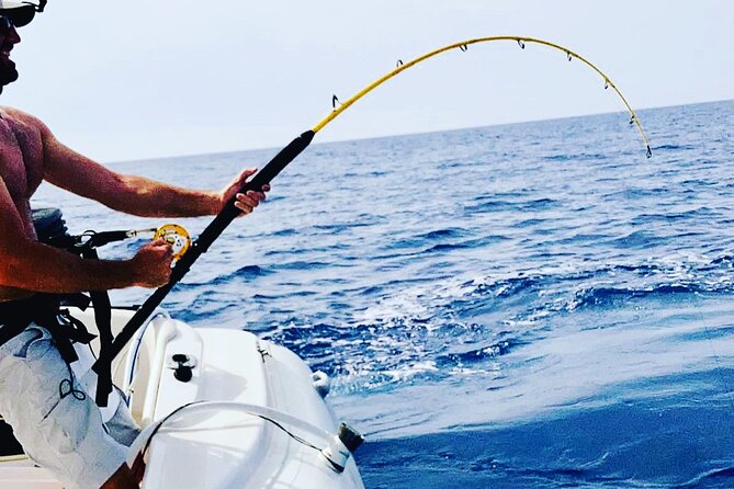 Bluefin Tuna Fishing Charter in the Egadi Islands - Timing and seasonal operating window