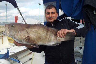 Boat fishing, boat tours, boat party - The route choices: 40 miles of scenery vs bolentino fishing days