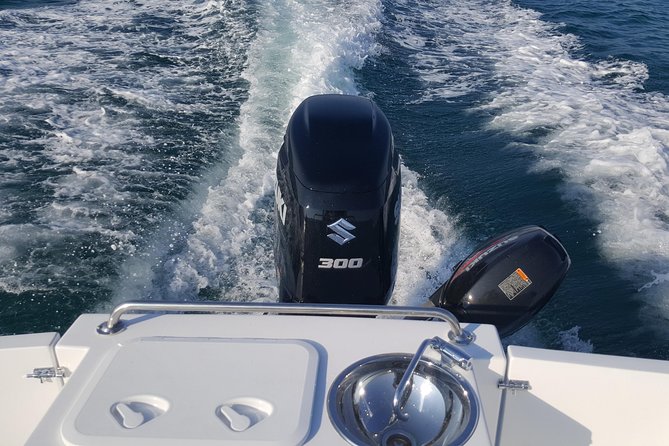 Boat fishing, boat tours, boat party - Who should book this boat fishing and tour day