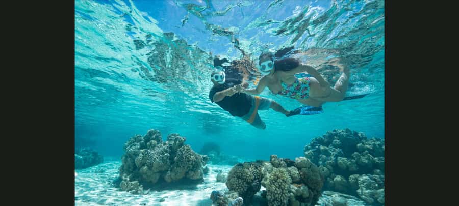 Bora Bora: Snorkeling and Fishing Tour with Lunch Option - Key highlights worth planning for