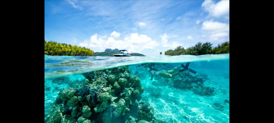 Bora Bora: Snorkeling and Fishing Tour with Lunch Option - How the Bora Bora Snorkeling-and-Fishing Day Really Plays Out