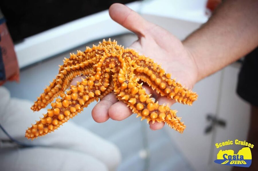 Bottom Fishing Lagos - Key things you should know before you cast
