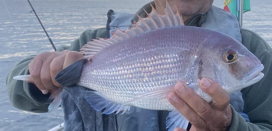 Bottom Fishing Lagos - Why bottom fishing around Lagos is such an easy win for most people