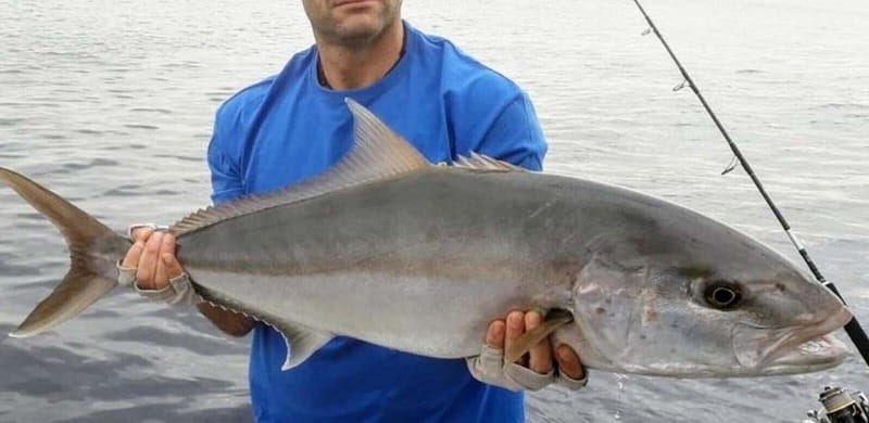 Bottom fishing & light trolling Puerto Calero, Lanzarote - Should you book the Puerto Calero bottom fishing & light trolling trip?