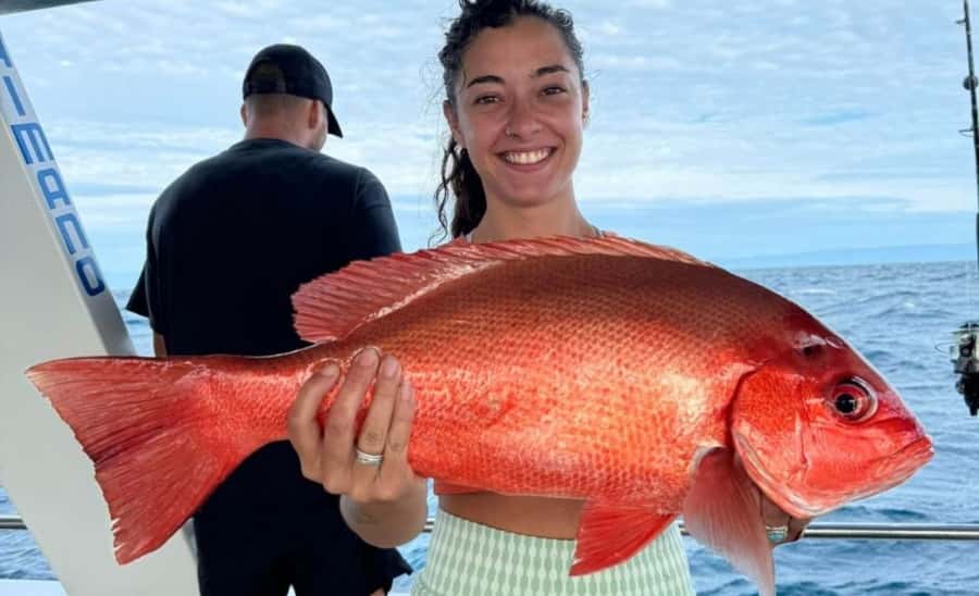 Cairns: Great Barrier Reef Fishing Charter with Lunch - Quick hits from this Cairns reef fishing charter