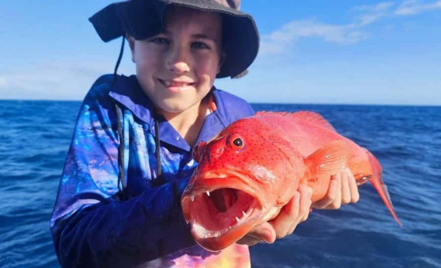 Cairns: Great Barrier Reef Fishing Charter with Lunch - From Cairns to the reef fishing grounds: the 90-minute run you should plan for