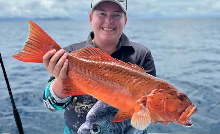 Cairns: Great Barrier Reef Fishing Charter with Lunch - Lunch and afternoon tea onboard: the small comforts that actually help