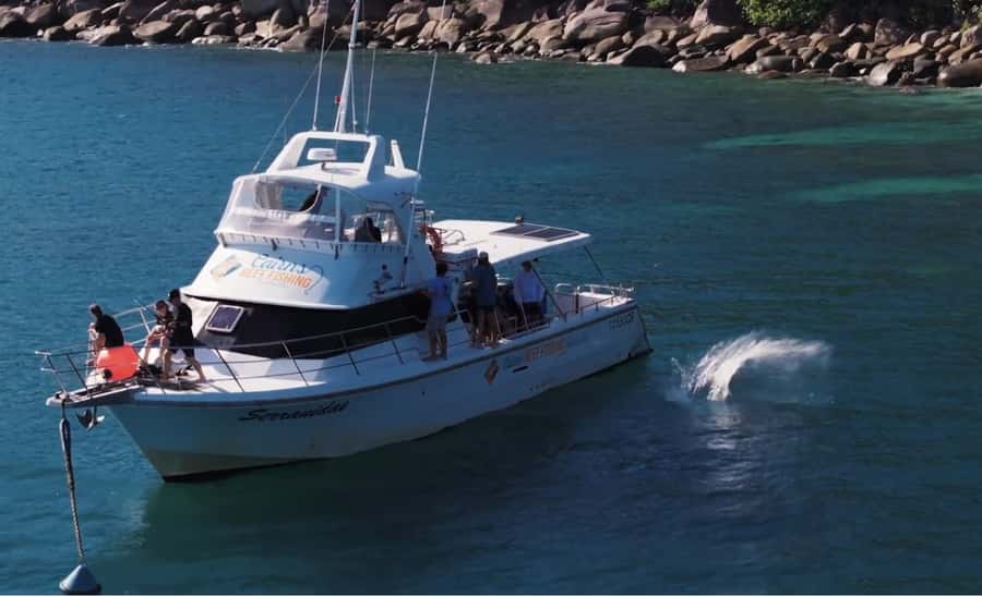 Cairns: Great Barrier Reef Fishing Charter with Lunch - Catch cleaning, chilling, and packed to take home